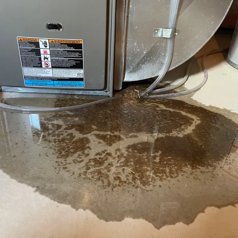 Appliance Leak Cleanup in Toquerville, UT