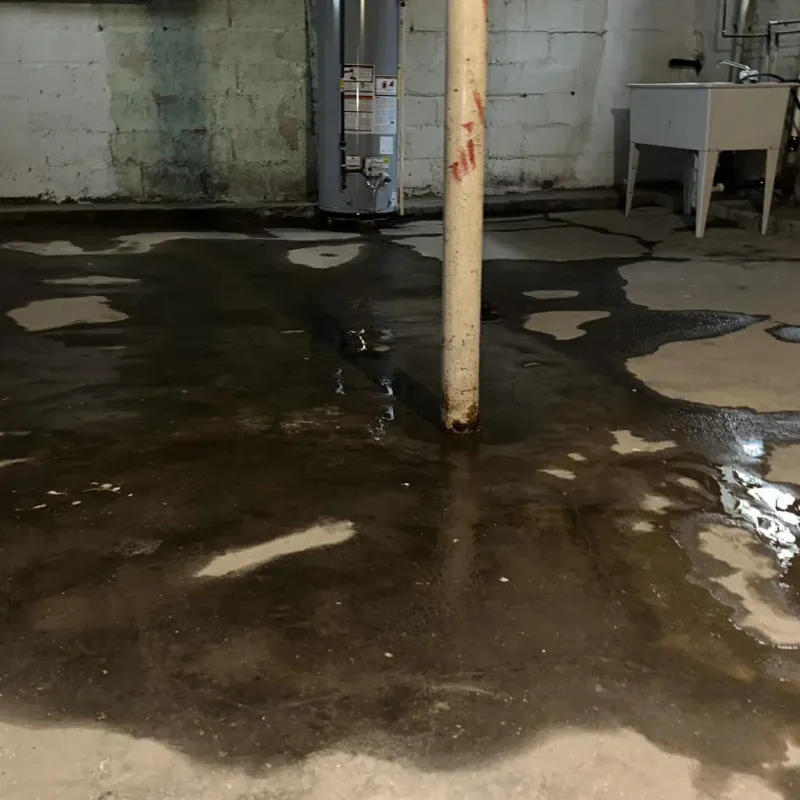 Emergency Water Extraction And Removal in Toquerville, UT